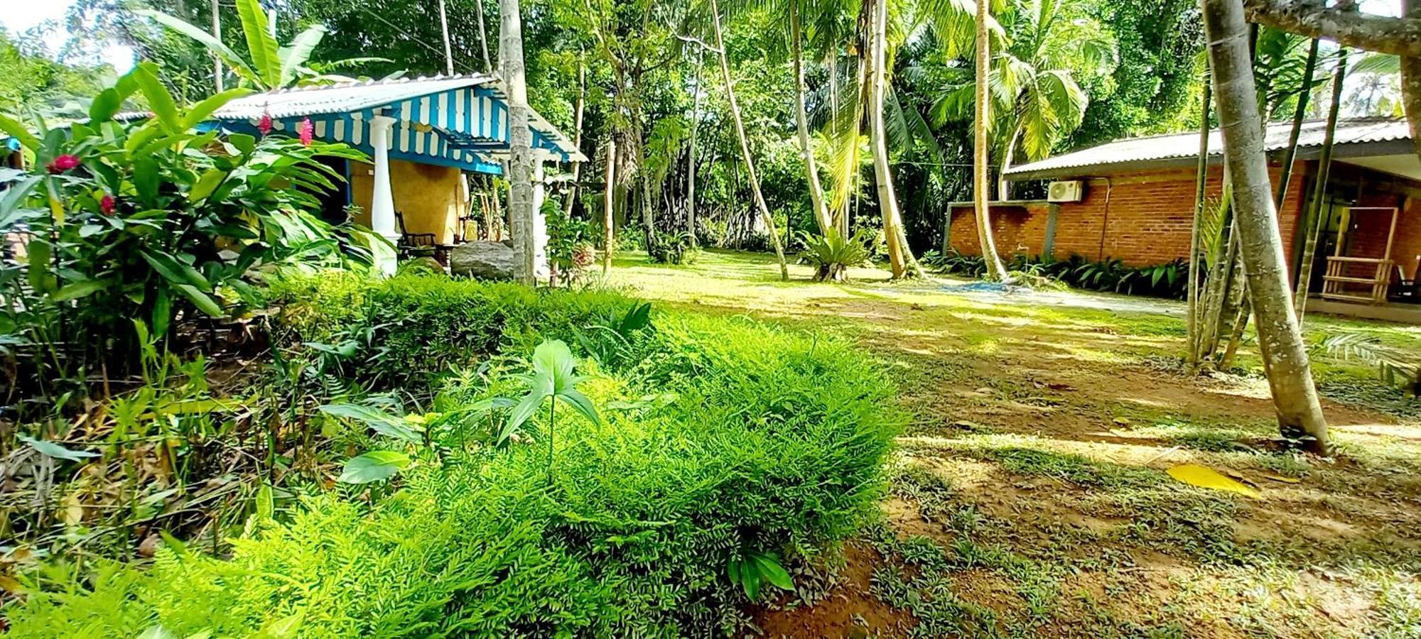 Selnara Private Luxury Villa And Ayurveda Spa Bentota Buitenkant foto