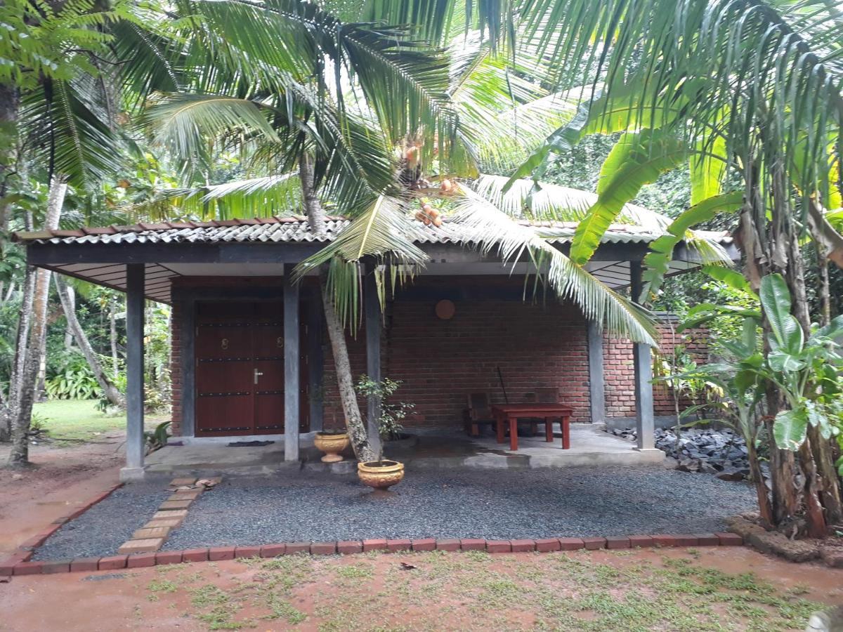 Selnara Private Luxury Villa And Ayurveda Spa Bentota Buitenkant foto